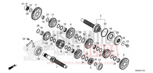 GETRIEBE (MT) CRF1100A4M de 2021